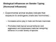 Biological Influences on Gender Typing
