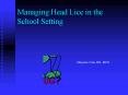 Managing Head Lice in the School Setting PowerPoint PPT Presentation