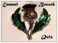 Enamel       Brooch PowerPoint PPT Presentation
