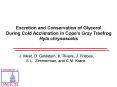 Excretion and Conservation of Glycerol PowerPoint PPT Presentation