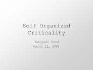 Self Organized Criticality