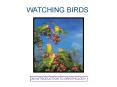WATCHING BIRDS PowerPoint PPT Presentation