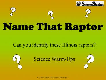 Name That Raptor