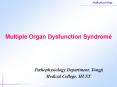 Multiple Organ Dysfunction Syndrome PowerPoint PPT Presentation