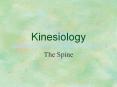 Kinesiology PowerPoint PPT Presentation