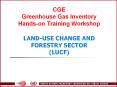 CGE%20Greenhouse%20Gas%20Inventory%20Hands-on%20Training%20Workshop%20%20LAND-USE%20CHANGE%20AND%20FORESTRY%20SECTOR%20(LUCF) PowerPoint PPT Presentation