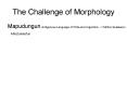 The Challenge of Morphology PowerPoint PPT Presentation