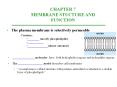 The%20plasma%20membrane%20is%20selectively%20permeable PowerPoint PPT Presentation