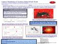 Dynamical Properties of Infrared Dark Clouds PowerPoint PPT Presentation