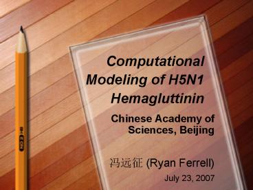 Computational Modeling of H5N1 Hemagluttinin