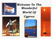 Welcome To The Wonderful