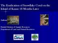 The Eradication of Snowflake Coral on the Island of Kauai: 18 Months Later PowerPoint PPT Presentation