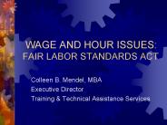 WAGE AND HOUR ISSUES:       FAIR LABOR STANDARDS ACT