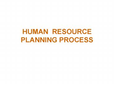 HUMAN RESOURCE PLANNING PROCESS