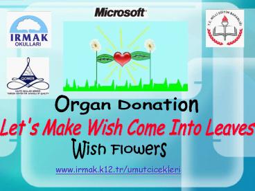 Let's Make Wish Come Into Leaves