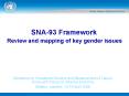 SNA93 Framework PowerPoint PPT Presentation