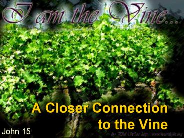 A Closer Connection to the Vine