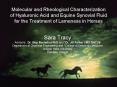 Molecular and Rheological Characterization of Hyaluronic Acid and Equine Synovial Fluid for the Treatment of Lameness in Horses PowerPoint PPT Presentation