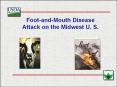 Foot-and-Mouth Disease Attack on the Midwest U. S. PowerPoint PPT Presentation