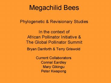 Megachilid Bees Phylogenetic