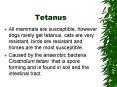 Tetanus PowerPoint PPT Presentation