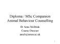 Diploma MSc Companion Animal Behaviour Counselling PowerPoint PPT Presentation
