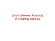 Whole Genome Assembly Microarray analysis