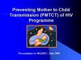 Preventing Mother to Child Transmission (PMTCT) of HIV Programme PowerPoint PPT Presentation