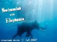 Swimming with Elephants PowerPoint PPT Presentation