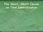 The Short, Short Course on Tree Identification