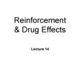 Reinforcement PowerPoint PPT Presentation