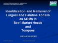 Identification and Removal of Lingual and Palatine Tonsils as SRMs in Beef Market Heads and Tongues PowerPoint PPT Presentation