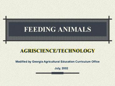 presentation player overlay