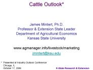 Cattle Outlook