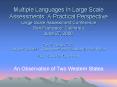 Multiple Languages In Large Scale Assessments: A Practical Perspective Large Scale Assessment Confer PowerPoint PPT Presentation
