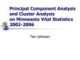 Principal Component Analysis and Cluster Analysis on Minnesota Vital Statistics 20022006 PowerPoint PPT Presentation