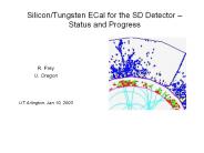Silicon/Tungsten ECal for the SD Detector 
