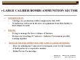 LARGE CALIBER/BOMBS AMMUNITION SECTOR PowerPoint PPT Presentation