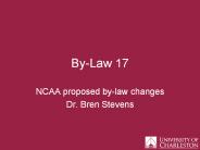 By-Law 17