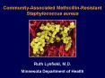 Community-Associated Methicillin-Resistant Staphylococcus aureus PowerPoint PPT Presentation