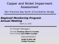 Copper and Nickel Impairment Assessment PowerPoint PPT Presentation