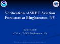 Verification of SREF Aviation Forecasts at Binghamton, NY PowerPoint PPT Presentation