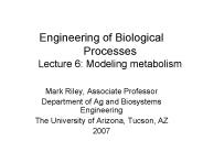 Engineering of Biological Processes Lecture 6: Modeling metabolism