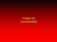 Chapter 25 Carbohydrates