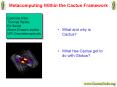Metacomputing Within the Cactus Framework PowerPoint PPT Presentation