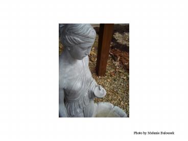 Photo by Melanie Balousek