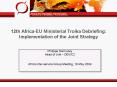 12th Africa-EU Ministerial Troika Debriefing: Implementation of the Joint Strategy PowerPoint PPT Presentation