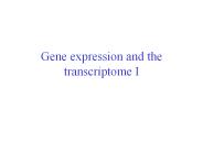 Gene expression and the transcriptome I