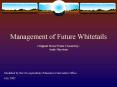 Management of Future Whitetails PowerPoint PPT Presentation