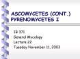 ASCOMYCETES (CONT.) PYRENOMYCETES I PowerPoint PPT Presentation
